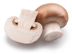 食用菌加工生产服务